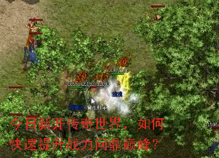今日新开传奇世界,如何快速提升战力问鼎巅峰? 今日新开传奇世界,如何快速提升战力问鼎巅峰?