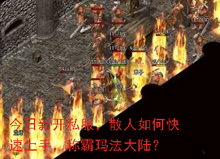 今日新开私服,散人如何快速上手,称霸玛法大陆? 今日新开私服,散人如何快速上手,称霸玛法大陆?