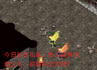 今日新开私服,散人如何快速上手,称霸玛法大陆? 今日新开私服,散人如何快速上手,称霸玛法大陆?