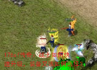 176sf传奇:战士如何快速升级,装备又该如何选择? 176sf传奇:战士如何快速升级,装备又该如何选择?