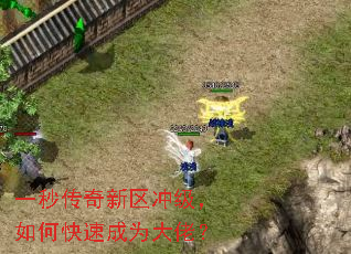 一秒传奇新区冲级,如何快速成为大佬? 一秒传奇新区冲级,如何快速成为大佬?