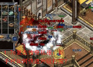 1.76复古传奇私服:新手村如何快速升级打宝? 1.76复古传奇私服:新手村如何快速升级打宝?