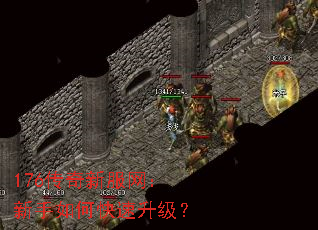 176传奇新服网:新手如何快速升级? 176传奇新服网:新手如何快速升级?