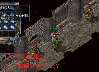 176传奇新服网:新手如何快速升级? 176传奇新服网:新手如何快速升级?
