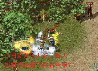 今日新开传世SF,散人如何快速起飞称霸全服? 今日新开传世SF,散人如何快速起飞称霸全服?