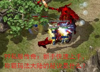 99私服传奇:新手快速上手,称霸玛法大陆的秘诀是什么? 99私服传奇:新手快速上手,称霸玛法大陆的秘诀是什么?