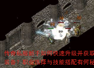 传奇私服新手如何快速升级并获取顶级装备?职业选择与技能搭配有何秘诀? 传奇私服新手如何快速升级并获取顶级装备?职业选择与技能搭配有何秘诀?