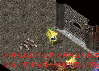 传奇私服新手如何快速升级并获取顶级装备?职业选择与技能搭配有何秘诀? 传奇私服新手如何快速升级并获取顶级装备?职业选择与技能搭配有何秘诀?