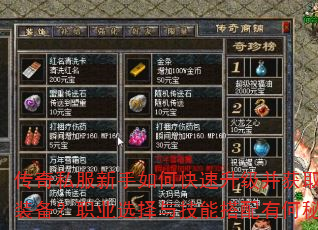 传奇私服新手如何快速升级并获取顶级装备?职业选择与技能搭配有何秘诀? 传奇私服新手如何快速升级并获取顶级装备?职业选择与技能搭配有何秘诀?