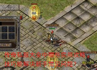 传奇私服大全中哪些实用攻略技巧能解决新手常见问题? 传奇私服大全中哪些实用攻略技巧能解决新手常见问题?