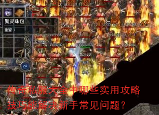 传奇私服大全中哪些实用攻略技巧能解决新手常见问题? 传奇私服大全中哪些实用攻略技巧能解决新手常见问题?