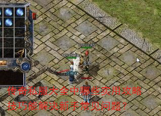 传奇私服大全中哪些实用攻略技巧能解决新手常见问题? 传奇私服大全中哪些实用攻略技巧能解决新手常见问题?