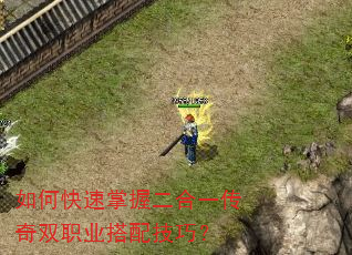 如何快速掌握二合一传奇双职业搭配技巧? 如何快速掌握二合一传奇双职业搭配技巧?