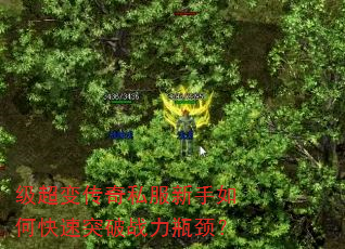 级超变传奇私服新手如何快速突破战力瓶颈? 级超变传奇私服新手如何快速突破战力瓶颈?