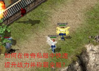 如何在传奇私服中快速提升战力并称霸全服? 如何在传奇私服中快速提升战力并称霸全服?