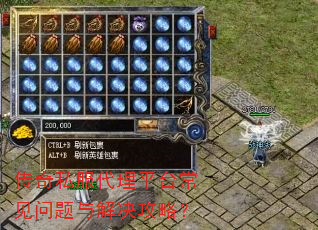 传奇私服代理平台常见问题与解决攻略? 传奇私服代理平台常见问题与解决攻略?