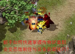 新手如何快速掌握传奇SF单职业变态版刷怪与装备获取技巧? 新手如何快速掌握传奇SF单职业变态版刷怪与装备获取技巧?