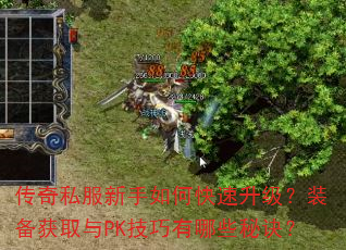 传奇私服新手如何快速升级?装备获取与PK技巧有哪些秘诀? 传奇私服新手如何快速升级?装备获取与PK技巧有哪些秘诀?