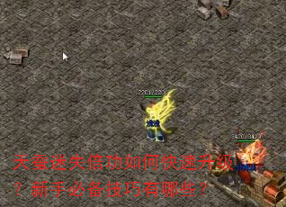 �����ʧ������ο������������ֱر���������Щ��