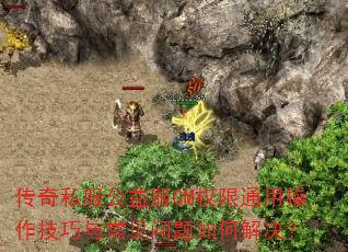 传奇私服公益服GM权限通用操作技巧与常见问题如何解决? 传奇私服公益服GM权限通用操作技巧与常见问题如何解决?