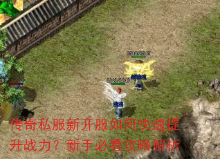 传奇私服新开服如何快速提升战力?新手必看攻略解析 传奇私服新开服如何快速提升战力?新手必看攻略解析