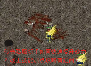 传奇私服新手如何快速提升战力?战士技能加点攻略有疑问? 传奇私服新手如何快速提升战力?战士技能加点攻略有疑问?