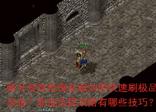 新开变态传奇私服如何快速刷极品装备?职业选择攻略有哪些技巧? 新开变态传奇私服如何快速刷极品装备?职业选择攻略有哪些技巧?