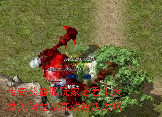 传奇公益服玩家必看十大常见问题及高效解决攻略 传奇公益服玩家必看十大常见问题及高效解决攻略