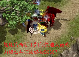 翱翔传奇新手如何快速突破战力瓶颈并征服终极BOSS? 翱翔传奇新手如何快速突破战力瓶颈并征服终极BOSS?