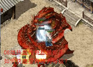 08版热血传奇私服新手如何快速提升战力等级? 08版热血传奇私服新手如何快速提升战力等级?