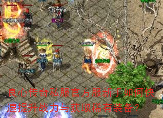 良心传奇私服官方服新手如何快速提升战力与获取稀有装备? 良心传奇私服官方服新手如何快速提升战力与获取稀有装备?