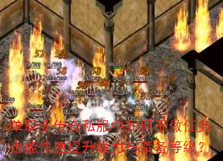 单职业传奇私服中如何不做任务也能快速提升战力与装备等级? 单职业传奇私服中如何不做任务也能快速提升战力与装备等级?