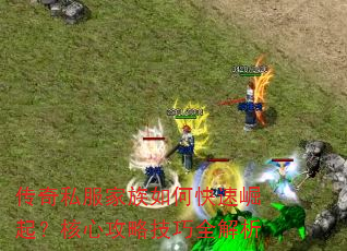 传奇私服家族如何快速崛起?核心攻略技巧全解析 传奇私服家族如何快速崛起?核心攻略技巧全解析