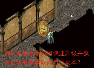 传奇私服新手如何快速升级并获取顶级装备挑战高难度副本? 传奇私服新手如何快速升级并获取顶级装备挑战高难度副本?