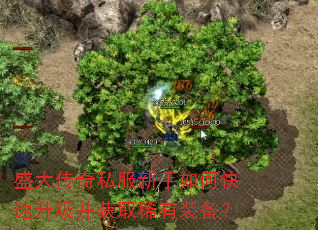 盛大传奇私服新手如何快速升级并获取稀有装备? 盛大传奇私服新手如何快速升级并获取稀有装备?