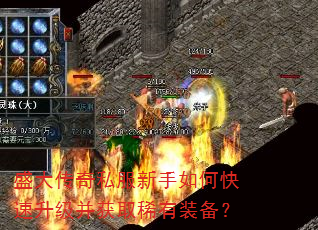盛大传奇私服新手如何快速升级并获取稀有装备? 盛大传奇私服新手如何快速升级并获取稀有装备?