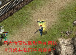 盛大传奇私服新手如何快速升级并获取稀有装备? 盛大传奇私服新手如何快速升级并获取稀有装备?