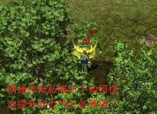 网通传奇私服新手如何快速提升战力与装备等级? 网通传奇私服新手如何快速提升战力与装备等级?