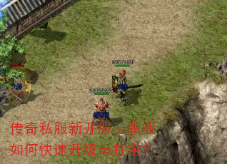 传奇私服新开服三职业如何快速升级与打宝? 传奇私服新开服三职业如何快速升级与打宝?