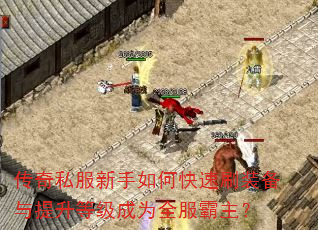 传奇私服新手如何快速刷装备与提升等级成为全服霸主? 传奇私服新手如何快速刷装备与提升等级成为全服霸主?