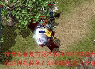 传奇私服复古版本新手如何快速升级并获取稀有装备?职业搭配技巧全解析 传奇私服复古版本新手如何快速升级并获取稀有装备?职业搭配技巧全解析