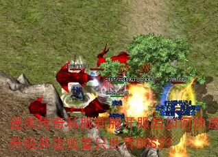 迷失传奇私服新服开服后如何快速升级并击败首只世界BOSS? 迷失传奇私服新服开服后如何快速升级并击败首只世界BOSS?