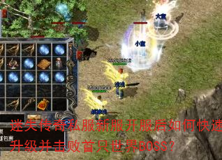 迷失传奇私服新服开服后如何快速升级并击败首只世界BOSS? 迷失传奇私服新服开服后如何快速升级并击败首只世界BOSS?