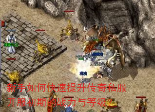 新手如何快速提升传奇私服开服初期的战力与等级? 新手如何快速提升传奇私服开服初期的战力与等级?