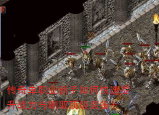 ���浥ְҵ������ο�������ս����ˢȡ����װ����