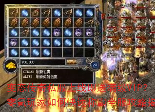 变态传奇私服上线即送满级VIP?零氪玩家如何快速称霸全服攻略揭秘 变态传奇私服上线即送满级VIP?零氪玩家如何快速称霸全服攻略揭秘