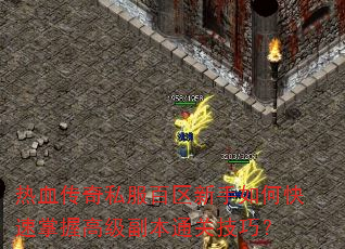 热血传奇私服百区新手如何快速掌握高级副本通关技巧? 热血传奇私服百区新手如何快速掌握高级副本通关技巧?