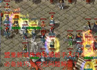 盟重新城传奇私服新手入门必备技巧与常见问题解答? 盟重新城传奇私服新手入门必备技巧与常见问题解答?