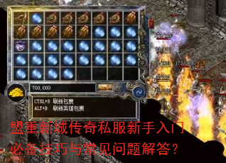 盟重新城传奇私服新手入门必备技巧与常见问题解答? 盟重新城传奇私服新手入门必备技巧与常见问题解答?