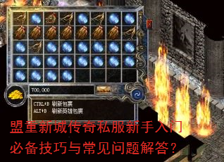 盟重新城传奇私服新手入门必备技巧与常见问题解答? 盟重新城传奇私服新手入门必备技巧与常见问题解答?